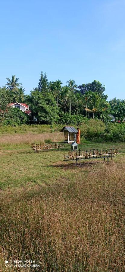 Narayanalayam-Vintage Retreat-Homestay & Rest'Inn Каннур Экстерьер фото