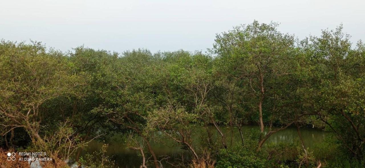 Narayanalayam-Vintage Retreat-Homestay & Rest'Inn Каннур Экстерьер фото