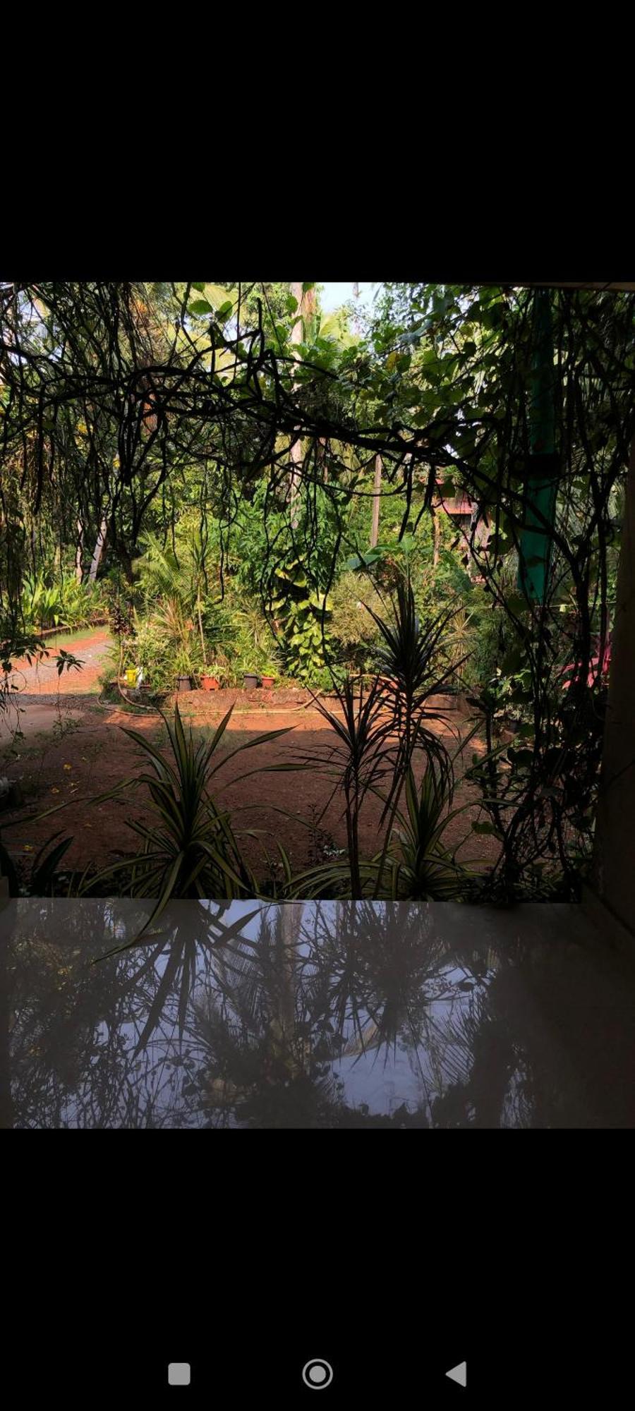 Narayanalayam-Vintage Retreat-Homestay & Rest'Inn Каннур Экстерьер фото